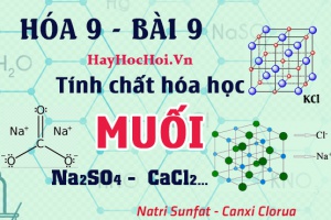 Tính chất hóa học của Muối, phản ứng trao đổi trong dung dịch ví dụ và bài tập - hóa 9 bài 9